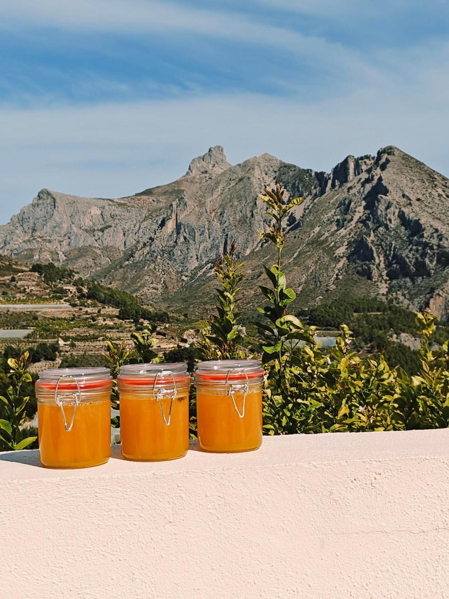 Finca Oliva Bolulla Экстерьер фото